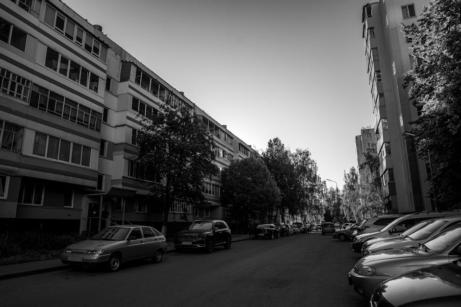 City environment representing local community work in Chisinau